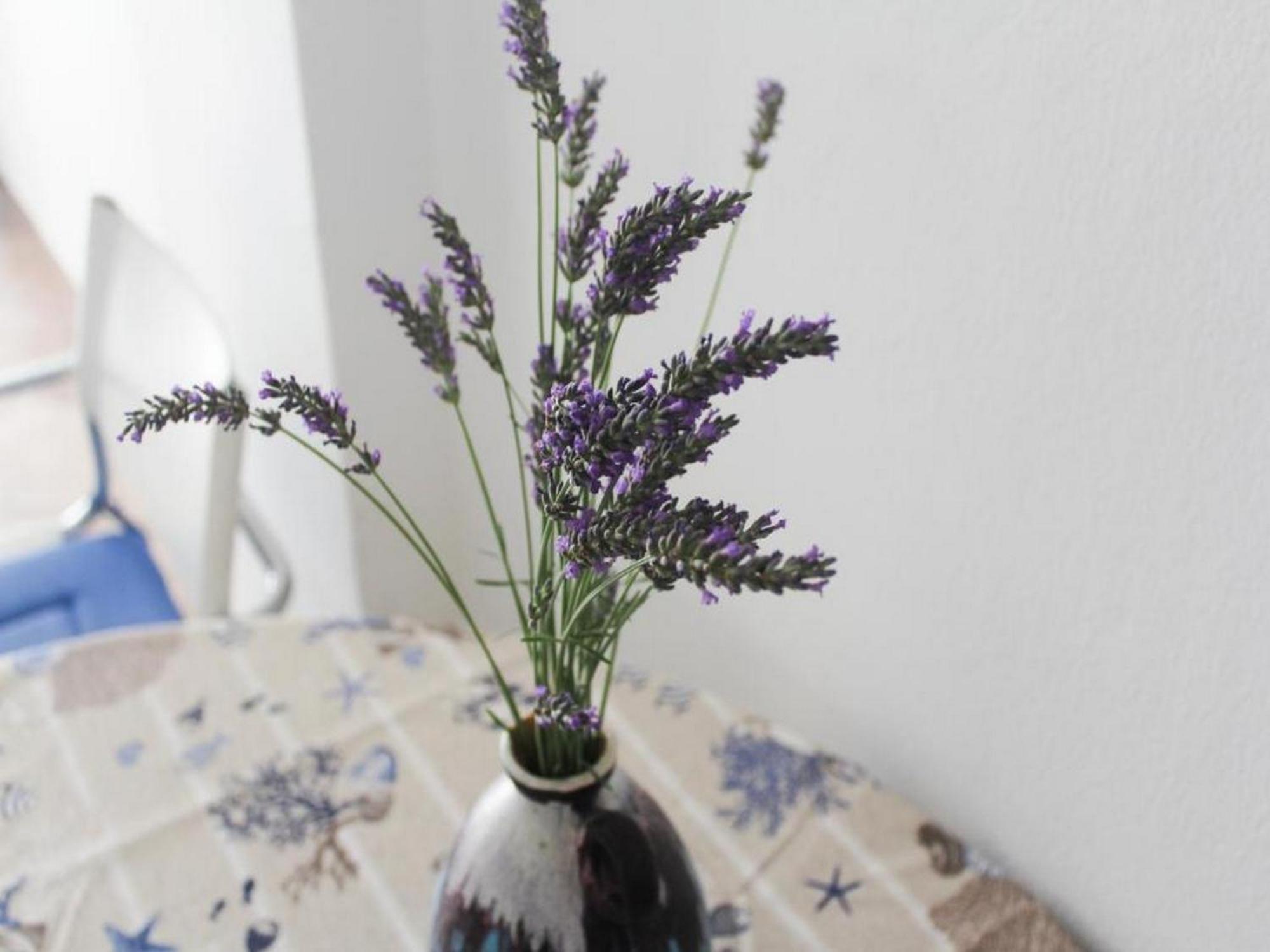 Apartmani Lucia Biograd 比奥格勒·纳·莫鲁 客房 照片